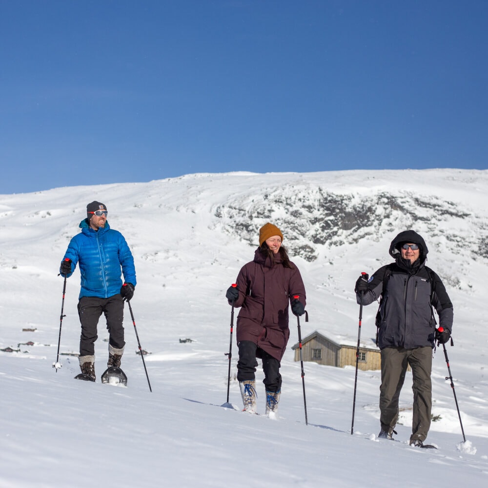 Beltebil med Jotunheimen Travel