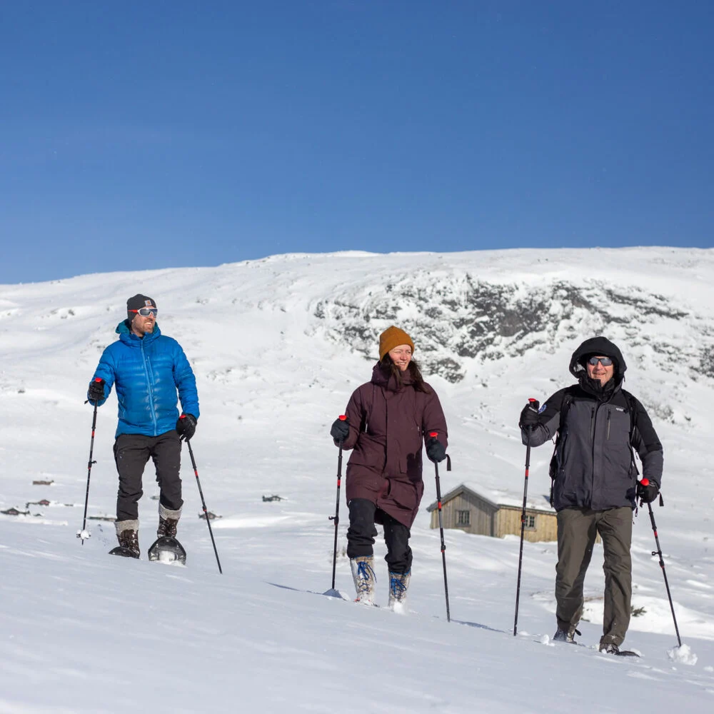 Beltebil med Jotunheimen Travel