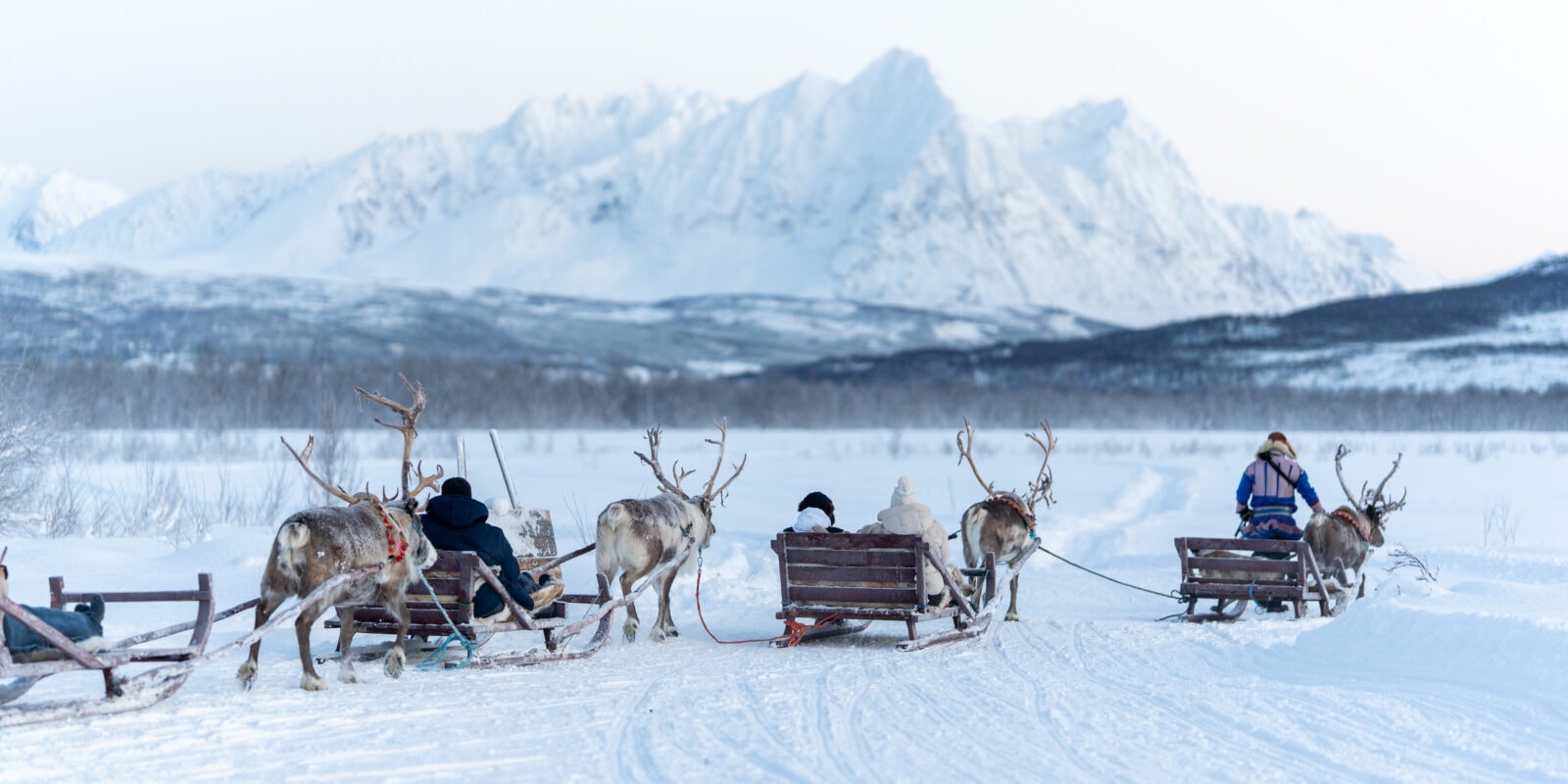 Reinsdyrslede og sjanse for Nordlys og samisk kultur arktisk eventyr hos Tromsø Lapland partner av Tilbring med rabattkode coupon code discount