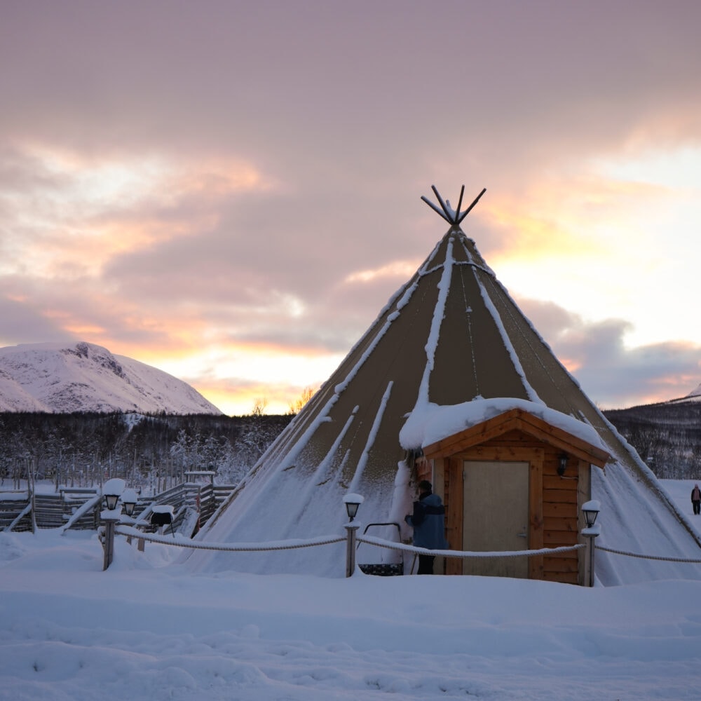 Reinsdyr og samisk kultur arktisk eventyr hos Tromsø Lapland partner av Tilbring med rabattkode coupon code discount