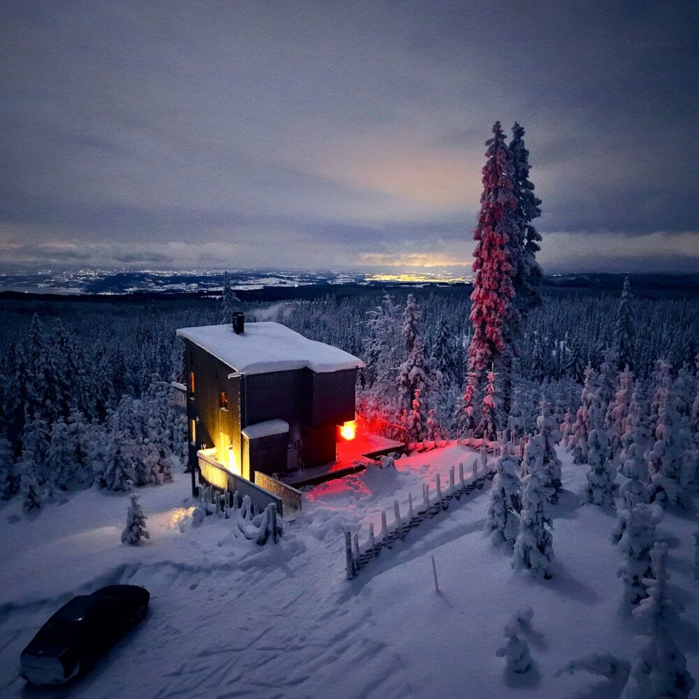 Forrest View hos Tretopphytter.no i Ringsaker i innlandet partner av Tilbring med rabattkode ofte billigst