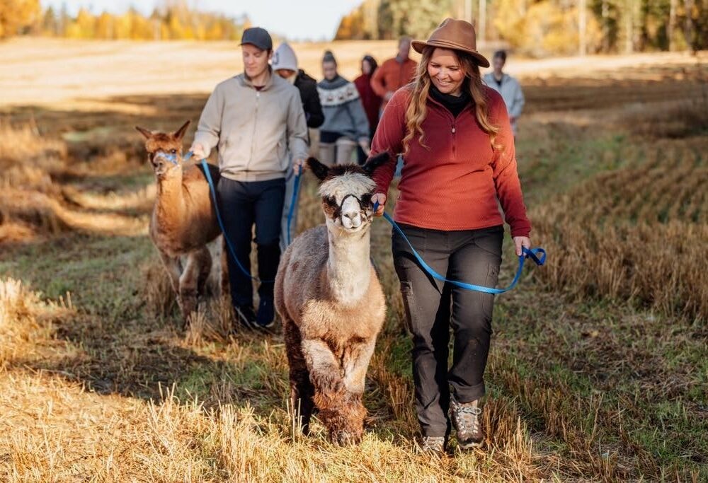Trekos i Aurskog er en glamping iglo del av Hvilepust med rabattkode og partner av Tilbring i Akershus kommune