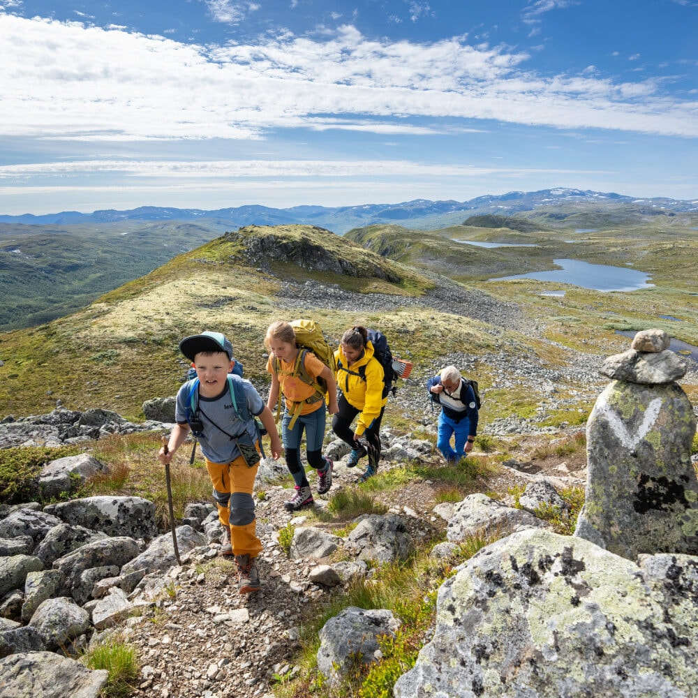 Filefjellstuene fjelltur sommer