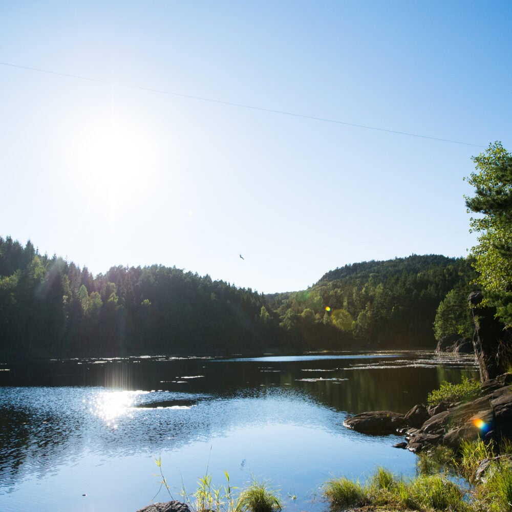 Høyt & Lavt klatrepark i Kristiansand partner av Tilbring familievennlige aktiviteter i Agder med rabattkode i Norges triveligste reiseportal