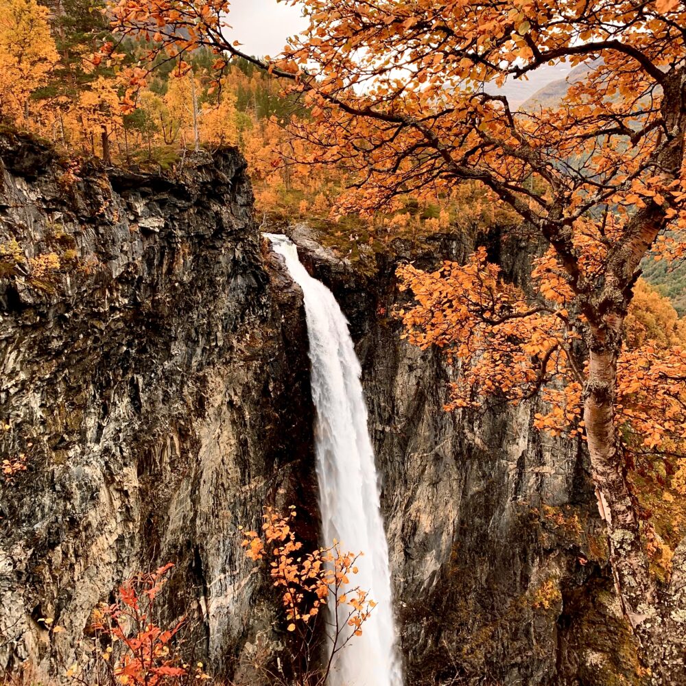 Vetti gard del av Klingenberg Resort i Sognefjorden nær jotunheimen partner av Tilbring i vestland med rabattkode