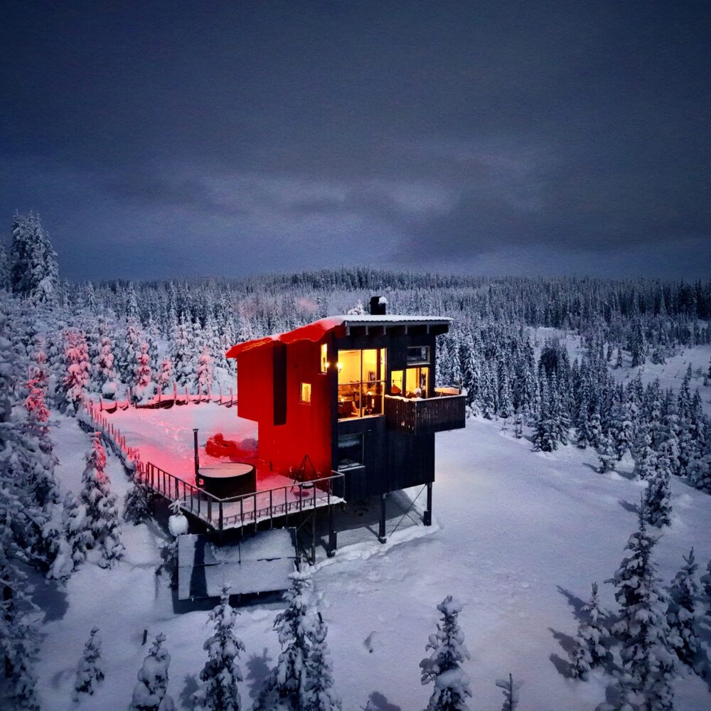 Forrest View hos Tretopphytter.no i Ringsaker i innlandet partner av Tilbring med rabattkode ofte billigst