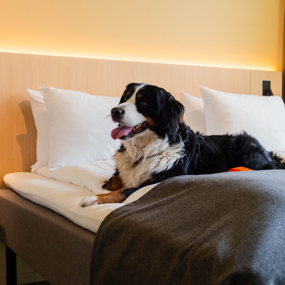 Citybox Kristiansand partner av Tilbring med rabattkode ofte billigst