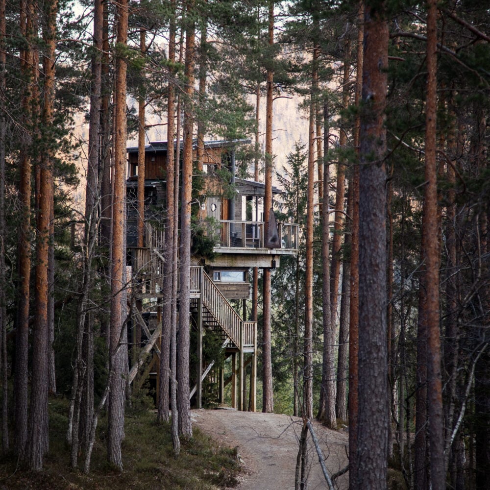 Gjøkeredet som er en del av Trehyttene Gjerstad i Agder, partner av Tilbring